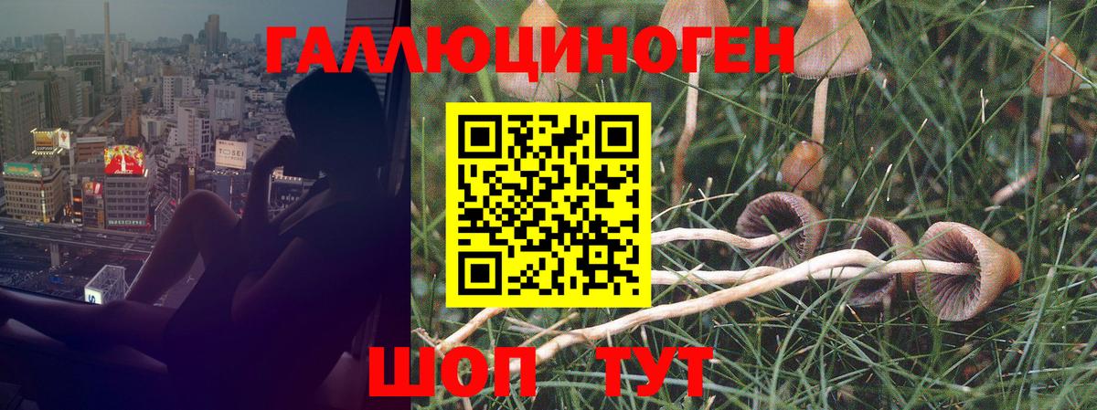 Галлюциногенные грибы MAGIC MUSHROOMS  Псилоцибиновые грибы ЛСД  Ртищево  Вход с VPN 