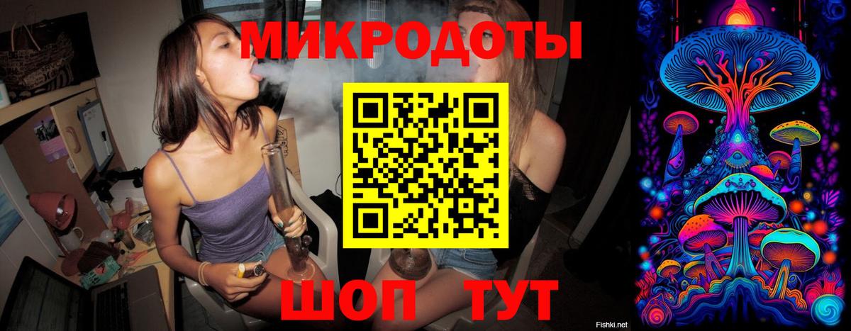 Псилоцибиновые грибы Psilocybine cubensis Ртищево